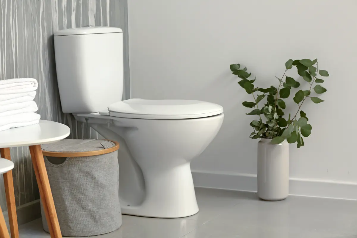 White two-piece toilet in a bright bathroom with a plant and folded towels